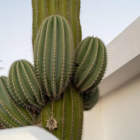 Ferienhaus Saguaro By Buenavilla Puerto del Carmen (Lanzarote)